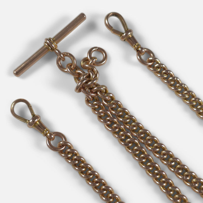 a section of the chain in focus to include both dog clips and t-bar