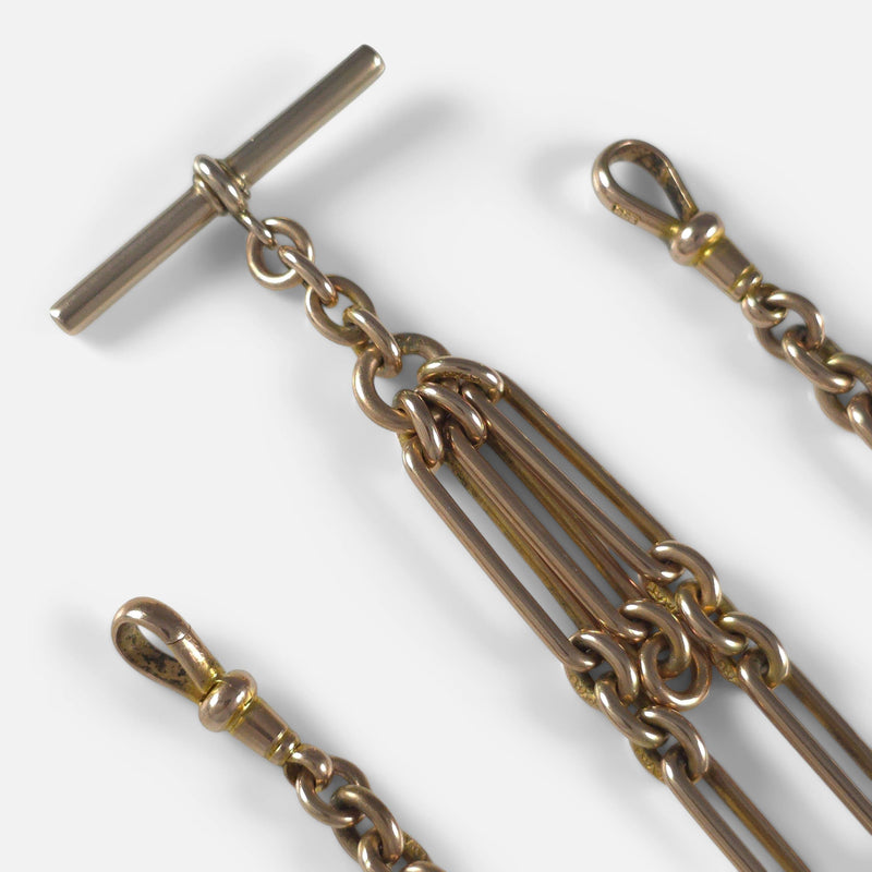 a section of the chain in focus to include t-bar and both dog clips